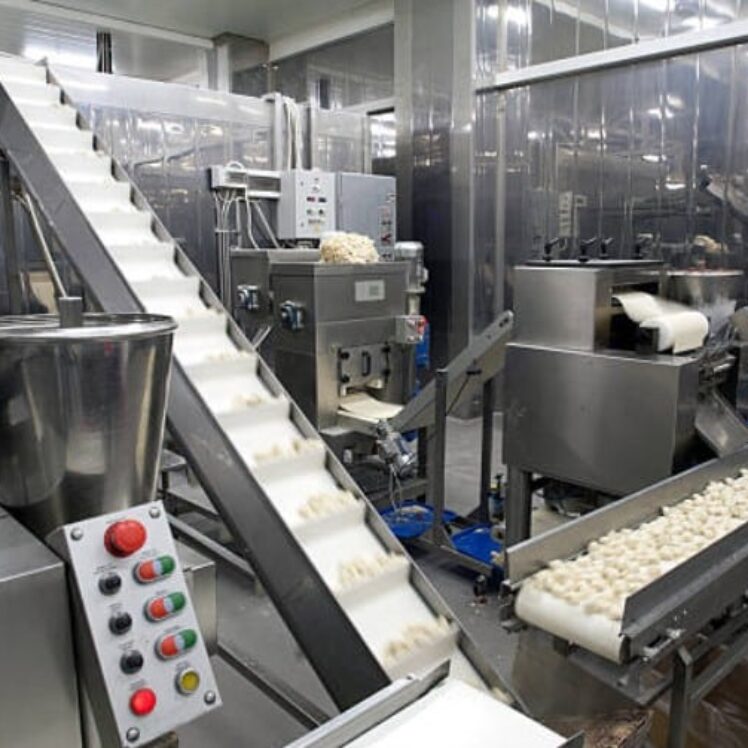equipment for food industry
